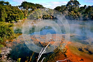 Rotorua, Volcanic and Boiling land