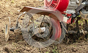 Rototiller in the garden