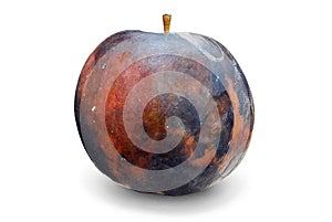 Rotted Apple