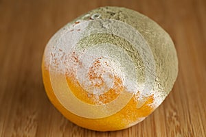 Rotted mandarin