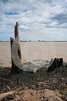 Rotted pilings, pagodas, Orford Ness