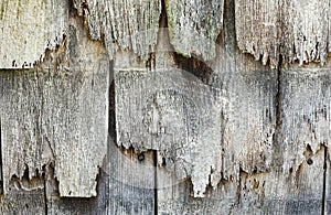 Rotted wood siding