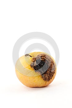 Rotten apple