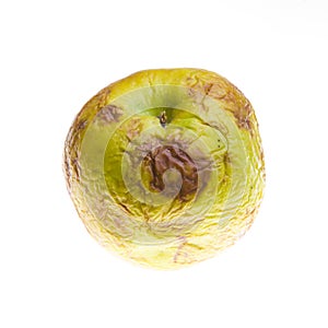 Rotten apple photo