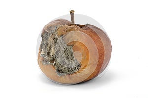 Rotten apple photo