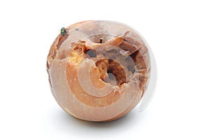 Rotten apple with fly