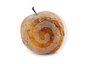 Rotten apple isolated