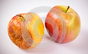 Rotten apple isolated on a white background.