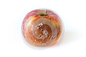 Rotten apple photo