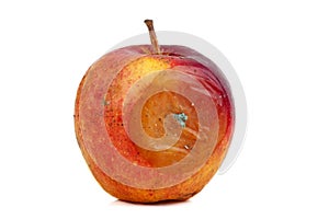 Rotten apple. Rotten and uneatable. Isolated on white