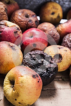 Rotten apples on table