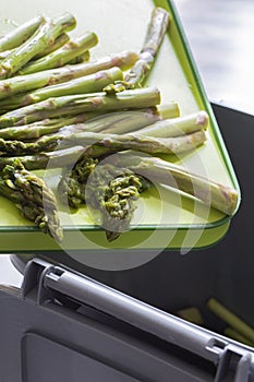 Rotten asparagus spears being thrown away into a recycling bin.  Food waste concept