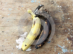 Rotten banana with healthy one
