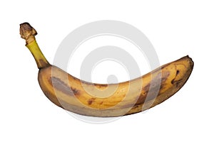 Rotten banana on an isolated white background