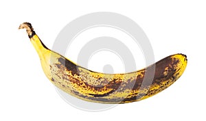 Rotten banana photo