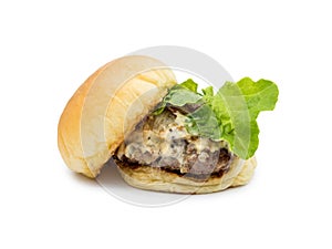 Rotten beef mayonnaise hamburger isolate