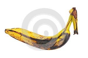 Rotten brown overripe banana isolated