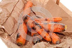 Rotten carrots. Wasted black and mouldy vegetables. Gone off foo