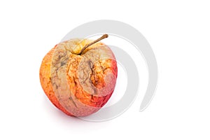 Rotten and decomposing red apple on white background