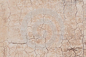 rotten dried and cracked plaster wall in the heat of India as harmonic background symbolizing age