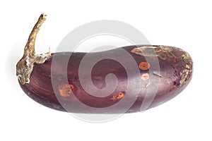 Rotten eggplant