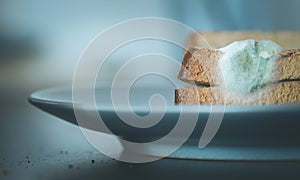 Rotten food: Moldy toast slices on a plate