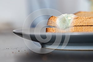 Rotten food: Moldy toast slices on a plate