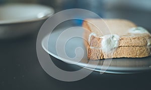 Rotten food: Moldy toast slices on a plate