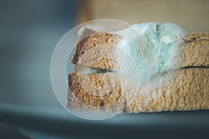 Rotten food: Moldy toast slices on a plate