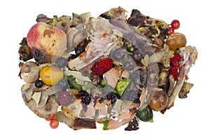 Rotten food waste isolated concept