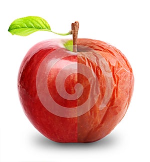 Rotten and fresh apple isolated photo