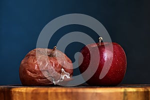 A Rotten and a Fresh Red Apple Next to Each Other. Good vs Bad. Antithesis Concept. Side View. Dark Blue Background photo