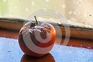 Rotten fruit  on a window sill