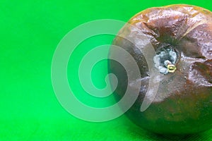 Rotten granny smith apple on green background