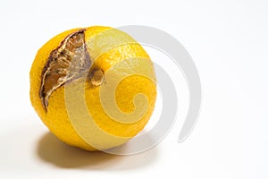 Rotten lemon isolated on white justified left photo