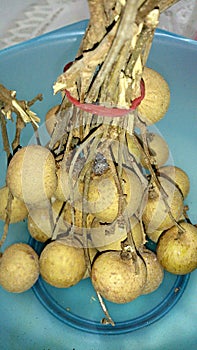 Rotten Longan fruits