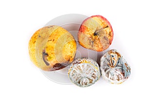 Rotten, moldy and decomposing lemon, apple, pear on white background