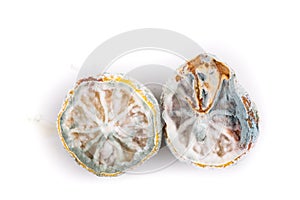 Rotten, moldy and decomposing lemon on white background