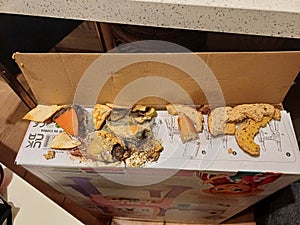 Rotten moldy disgusting food on the top of a white cardboard hidden by the children underneath the table