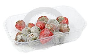 Rotten Mouldy Strawberries