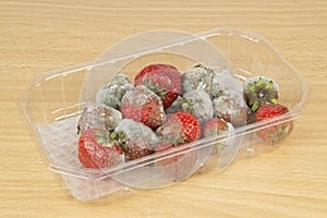 Rotten Mouldy Strawberries photo