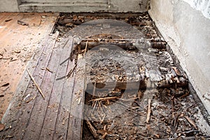 Rotten, old and cracked wooden floor in old house