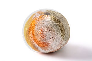 Rotten orange fruit