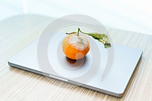 Rotten orange with mold on a closed laptop