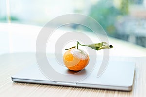 Rotten orange with mold on a closed laptop