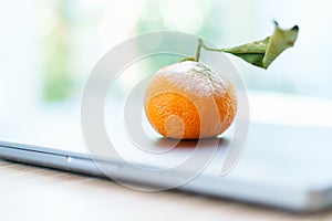 Rotten orange with mold on a closed laptop
