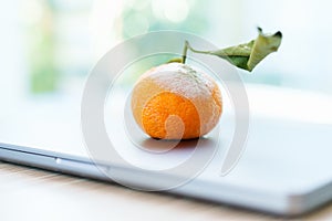 Rotten orange with mold on a closed laptop