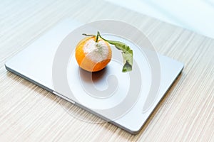 Rotten orange with mold on a closed laptop