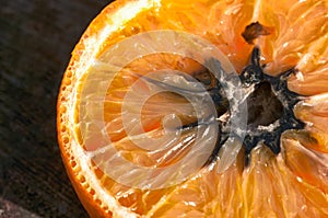 Zhnitý oranžový pleseň (obrázok s vysokým dynamickým rozsahom obraz) 