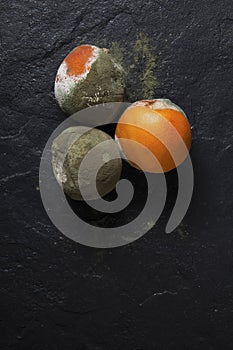 Rotten Oranges. Incorrect storage. Spoiled fruits on a dark background. Horizontal orientation. Copy space photo